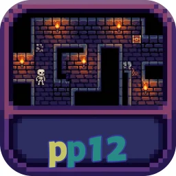 pp12
